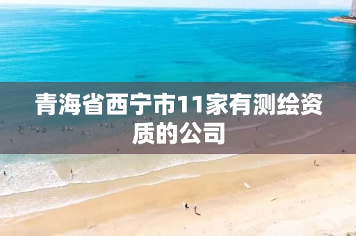 青海省西宁市11家有测绘资质的公司 青海省西宁市11家有测绘资质的公司