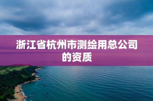 浙江省杭州市测绘用总公司的资质