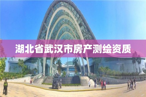 湖北省武汉市房产测绘资质