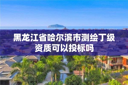 黑龙江省哈尔滨市测绘丁级资质可以投标吗