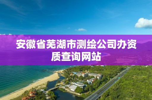 安徽省芜湖市测绘公司办资质查询网站