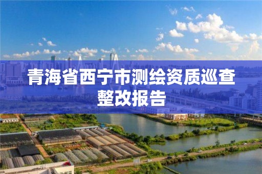 青海省西宁市测绘资质巡查整改报告