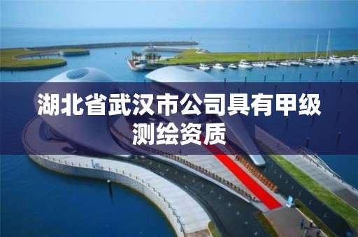 湖北省武汉市公司具有甲级测绘资质