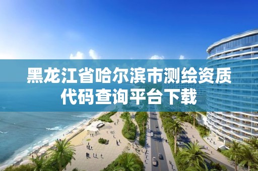 黑龙江省哈尔滨市测绘资质代码查询平台下载