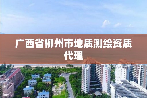 广西省柳州市地质测绘资质代理