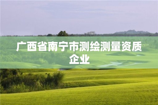 广西省南宁市测绘测量资质企业