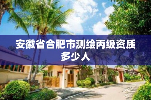 安徽省合肥市测绘丙级资质多少人