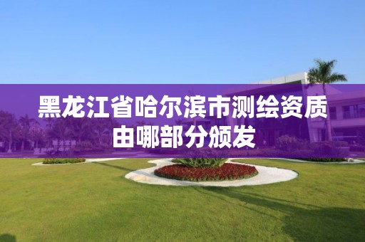 黑龙江省哈尔滨市测绘资质由哪部分颁发