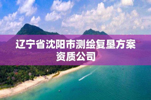 辽宁省沈阳市测绘复垦方案资质公司