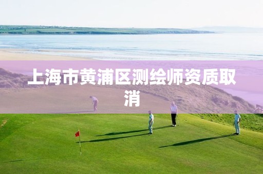 上海市黄浦区测绘师资质取消