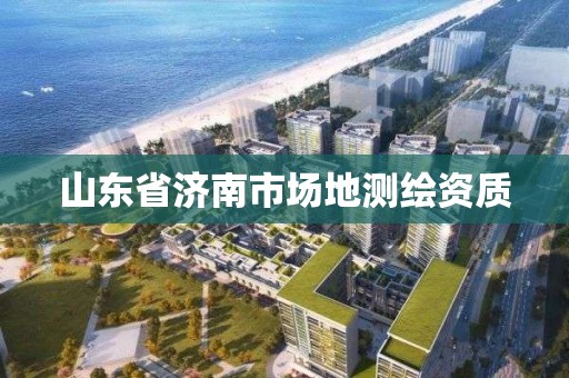 山东省济南市场地测绘资质