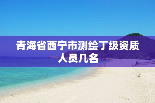 青海省西宁市测绘丁级资质人员几名