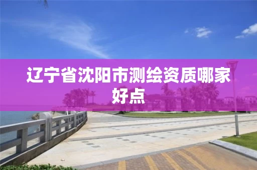 辽宁省沈阳市测绘资质哪家好点 辽宁省沈阳市测绘资质哪家好点