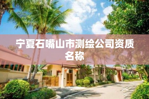 宁夏石嘴山市测绘公司资质名称