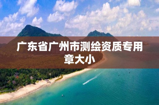 广东省广州市测绘资质专用章大小