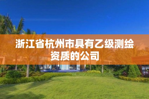 浙江省杭州市具有乙级测绘资质的公司