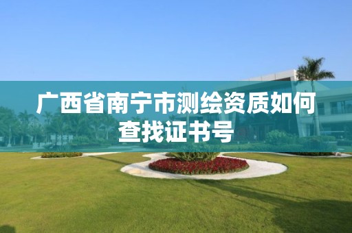 广西省南宁市测绘资质如何查找证书号