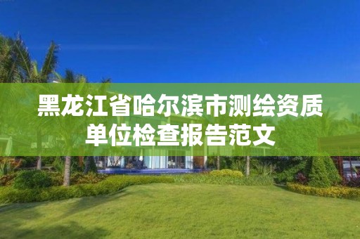 黑龙江省哈尔滨市测绘资质单位检查报告范文