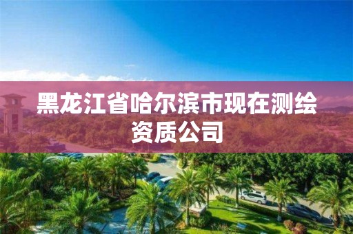 黑龙江省哈尔滨市现在测绘资质公司