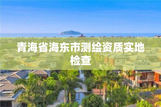 青海省海东市测绘资质实地检查