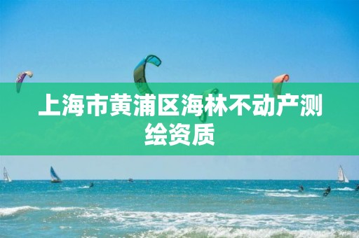 上海市黄浦区海林不动产测绘资质