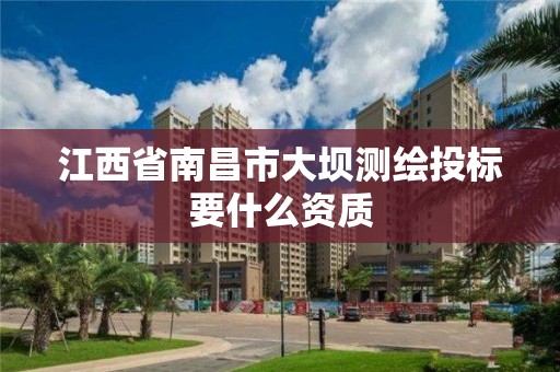 江西省南昌市大坝测绘投标要什么资质