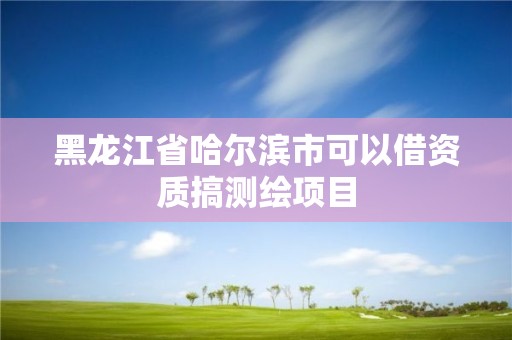 黑龙江省哈尔滨市可以借资质搞测绘项目