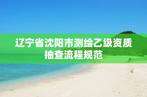 辽宁省沈阳市测绘乙级资质抽查流程规范 辽宁省沈阳市测绘乙级资质抽查流程规范