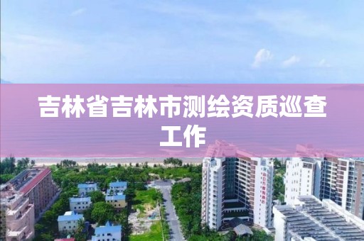 吉林省吉林市测绘资质巡查工作