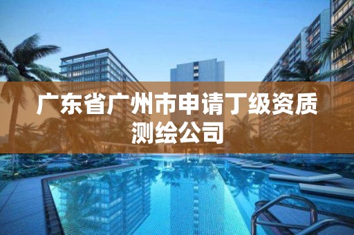 广东省广州市申请丁级资质测绘公司