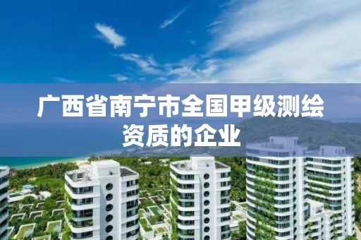 广西省南宁市全国甲级测绘资质的企业