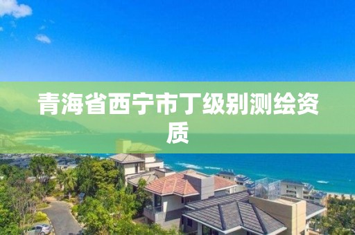 青海省西宁市丁级别测绘资质