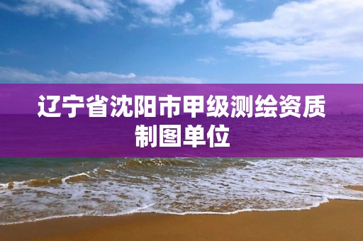 辽宁省沈阳市甲级测绘资质制图单位