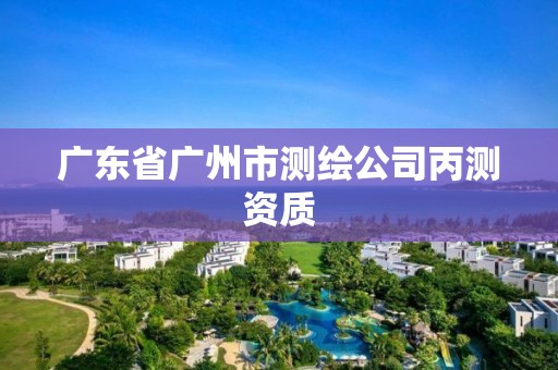 广东省广州市测绘公司丙测资质