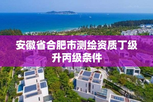 安徽省合肥市测绘资质丁级升丙级条件