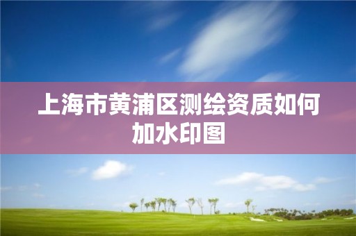 上海市黄浦区测绘资质如何加水印图