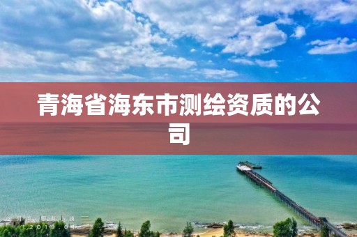 青海省海东市测绘资质的公司