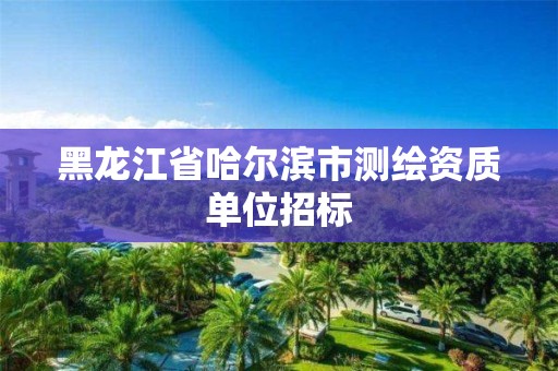 黑龙江省哈尔滨市测绘资质单位招标