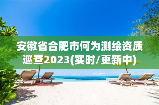 安徽省合肥市何为测绘资质巡查2023(实时/更新中)