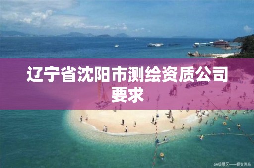 辽宁省沈阳市测绘资质公司要求