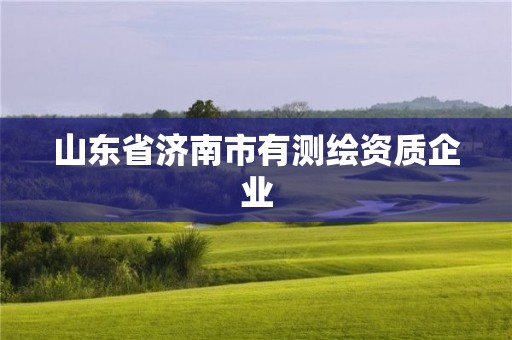 山东省济南市有测绘资质企业