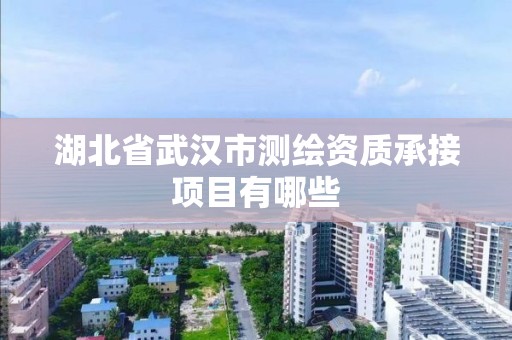 湖北省武汉市测绘资质承接项目有哪些