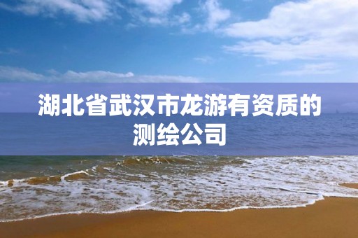 湖北省武汉市龙游有资质的测绘公司