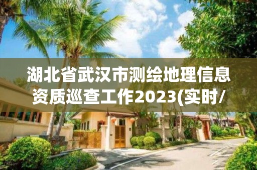 湖北省武汉市测绘地理信息资质巡查工作2023(实时/更新中)