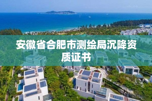 安徽省合肥市测绘局沉降资质证书