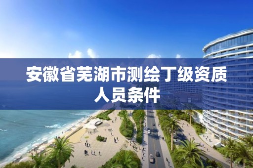 安徽省芜湖市测绘丁级资质人员条件