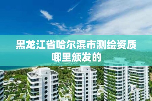 黑龙江省哈尔滨市测绘资质哪里颁发的