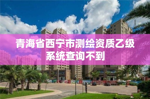 青海省西宁市测绘资质乙级系统查询不到