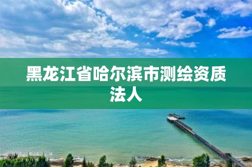 黑龙江省哈尔滨市测绘资质法人