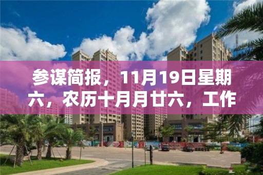 参谋简报，11月19日星期六，农历十月月廿六，工作愉快，平安喜乐